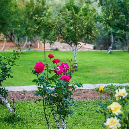 ελαιών Apartments/eleon Appartement Korissia (Kea)