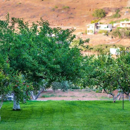 Appartement ελαιών Apartments/eleon *