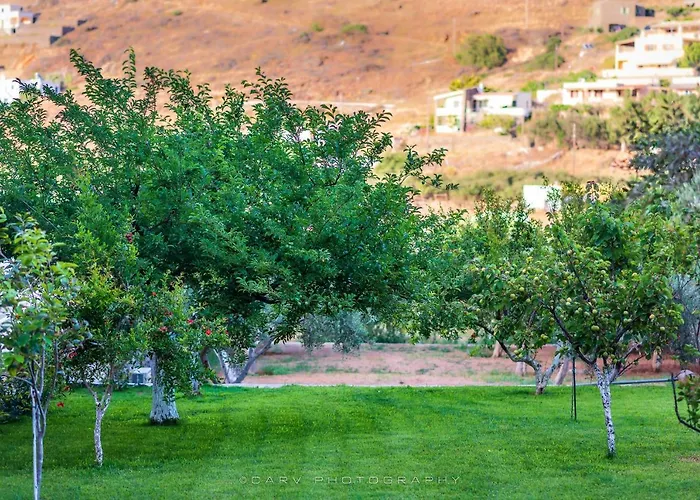 Apartman ελαιών Apartments/eleon *